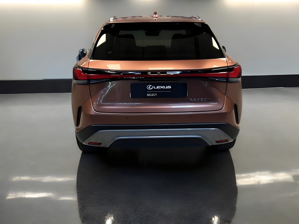 Lexus Seria RX 450h+ AWD Executive Line (4)