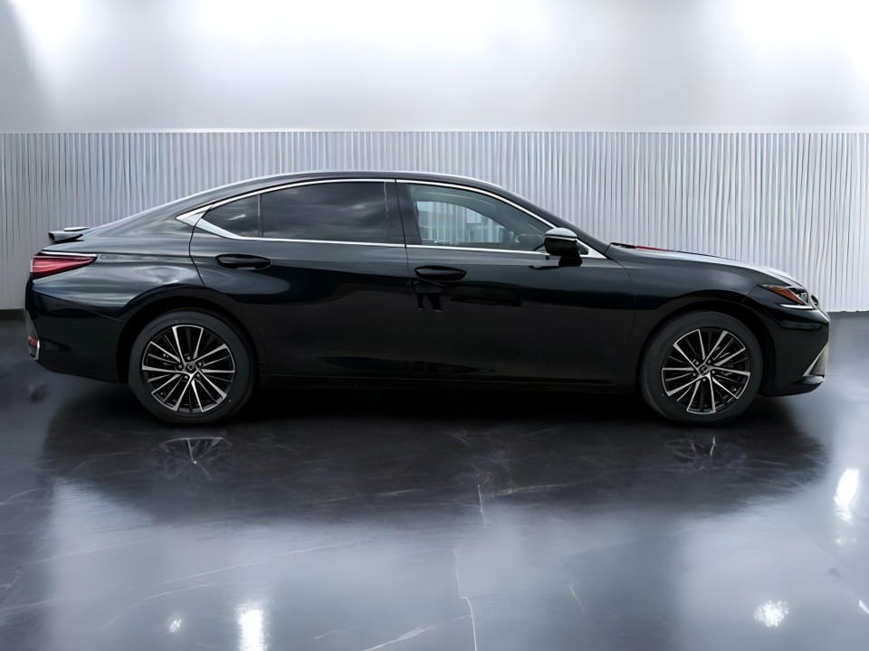 Lexus Seria ES 300h Business Line (2)