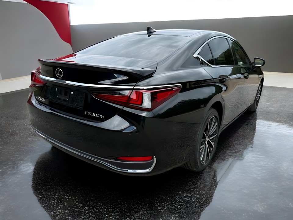 Lexus Seria ES 300h Business Line (3)