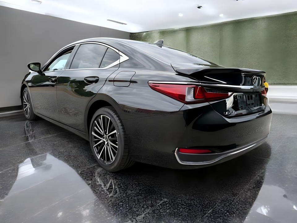 Lexus Seria ES 300h Business Line (5)