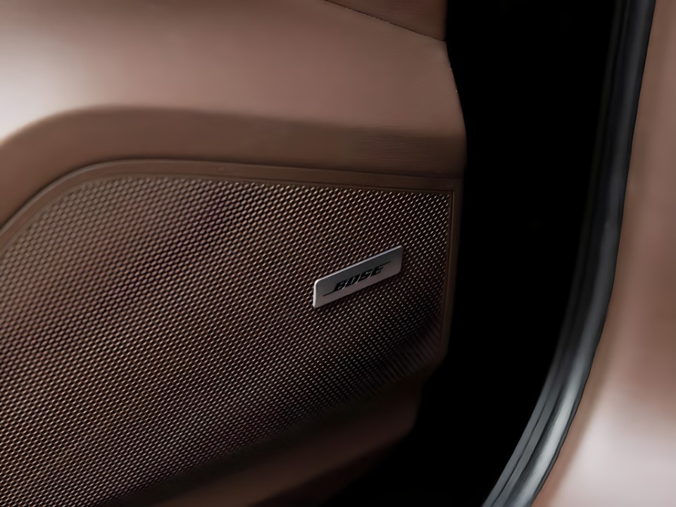 Porsche Cayenne E-Hybrid Platinum Edition - foto 17