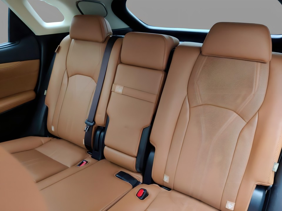 Lexus Seria RX 450h Luxury Line - foto 10