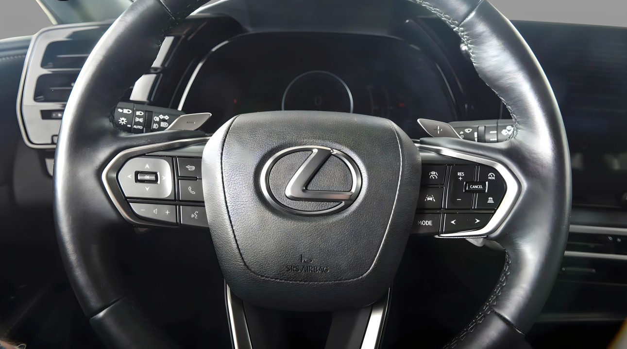 Lexus Seria RX 450h+ Executive - foto 10