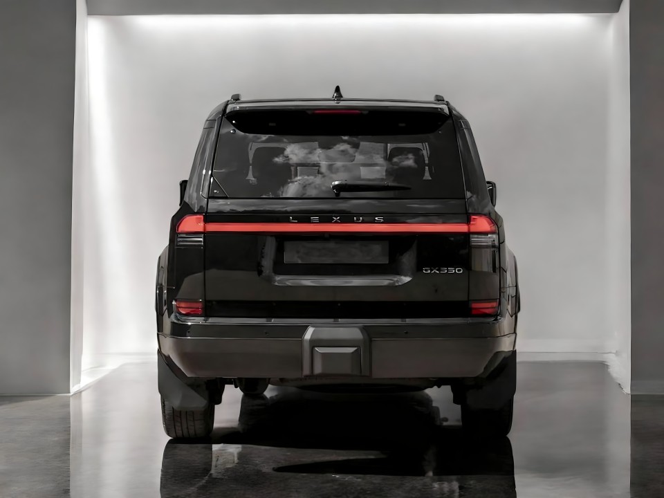 Lexus GX470 Luxury (4)