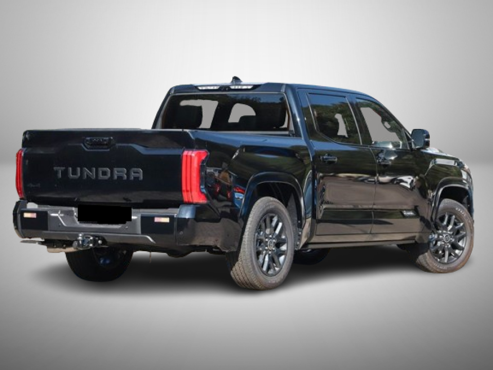 Toyota Tundra Platinum 4x4 CrewMax (2)