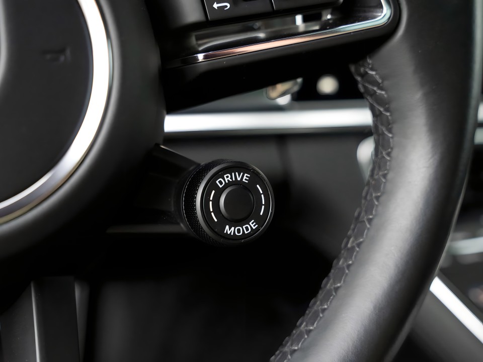 Porsche Panamera 4 E-Hybrid Platinum Edition - foto 11