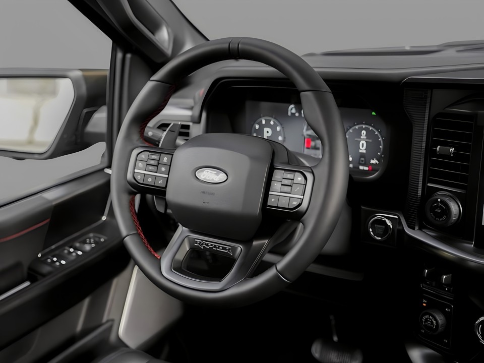 Ford Raptor F-150 - foto 13