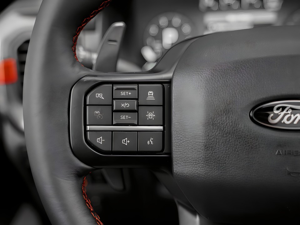 Ford Raptor F-150 - foto 15