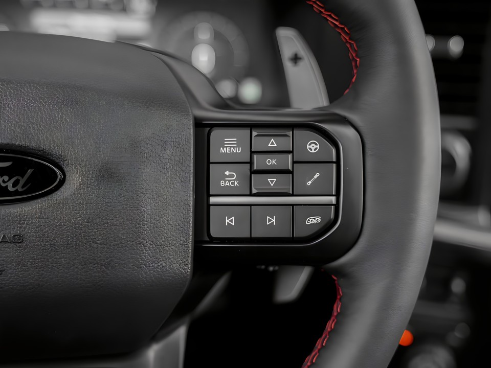 Ford Raptor F-150 - foto 16