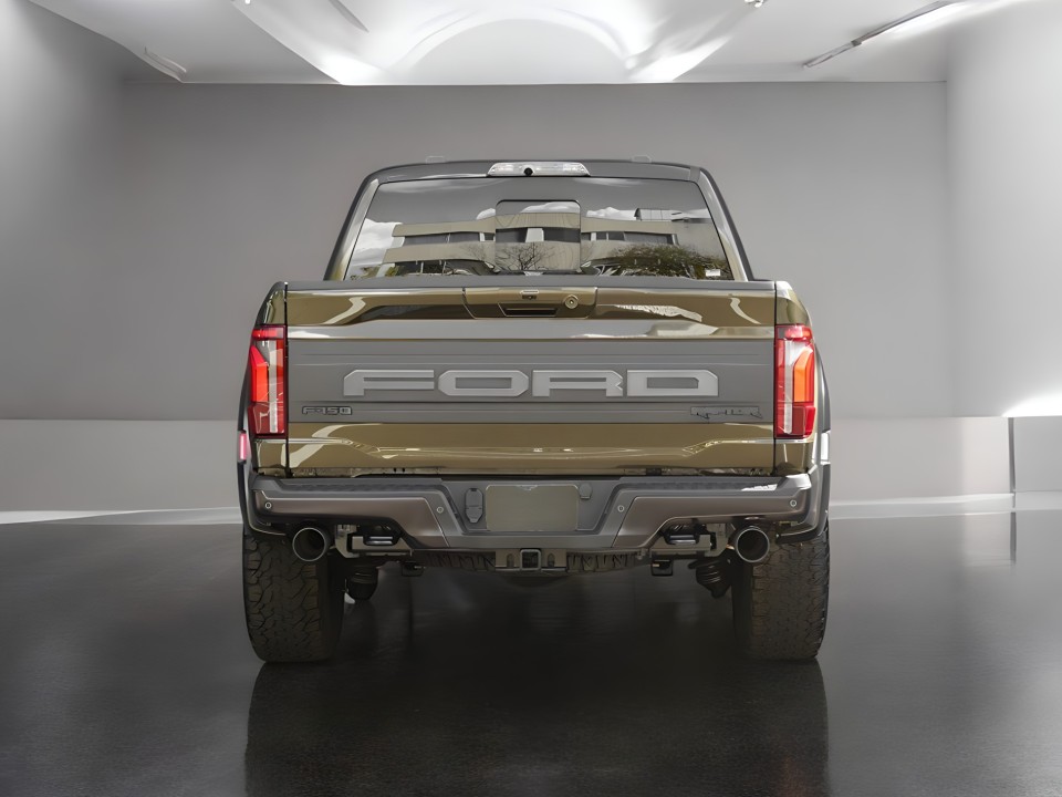 Ford Raptor F-150 (4)