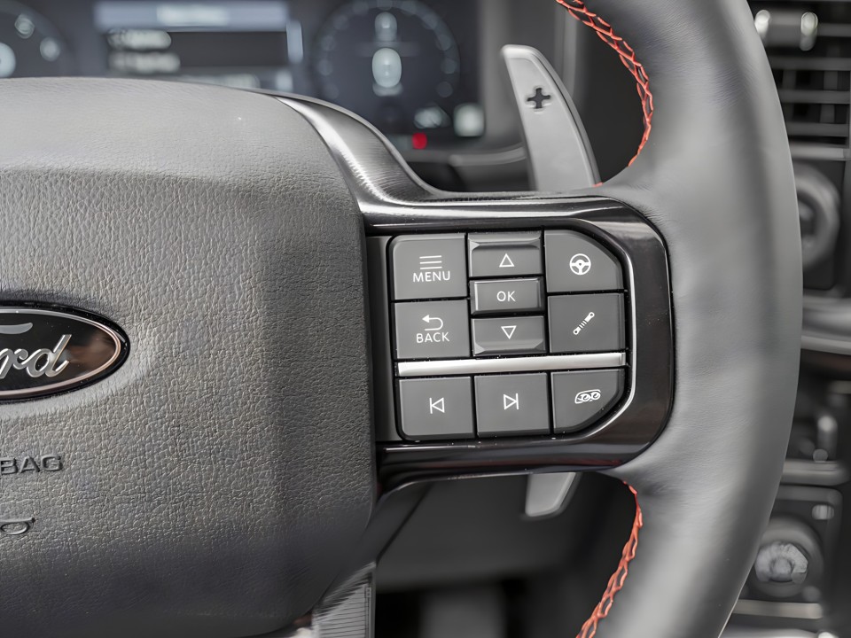 Ford Raptor F-150 - foto 16