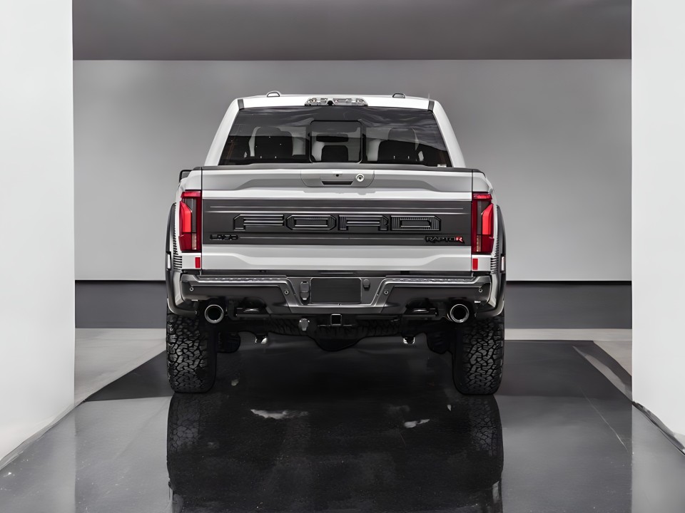 Ford Raptor F-150 (4)