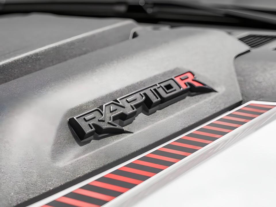 Ford Raptor F-150 - foto 35