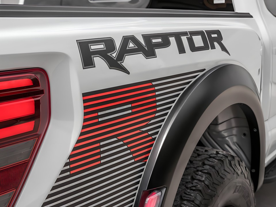 Ford Raptor F-150 - foto 39