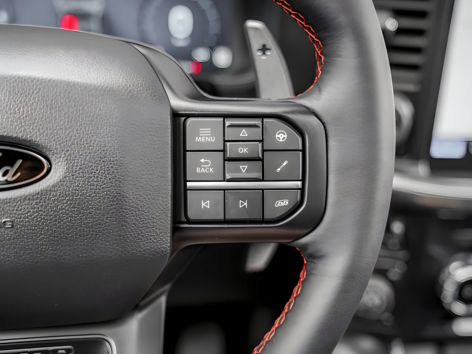 Ford F150 Raptor - foto 15