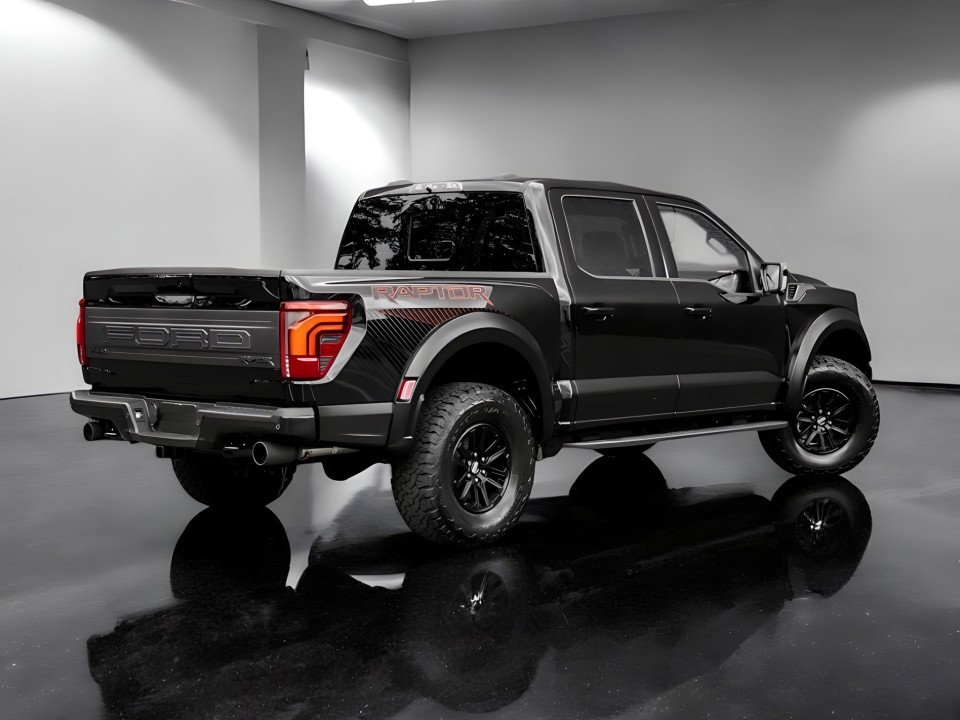 Ford F150 Raptor (3)