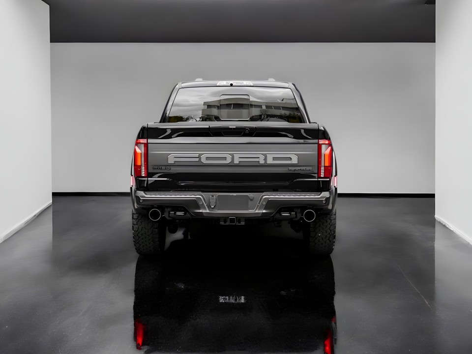 Ford F150 Raptor (4)