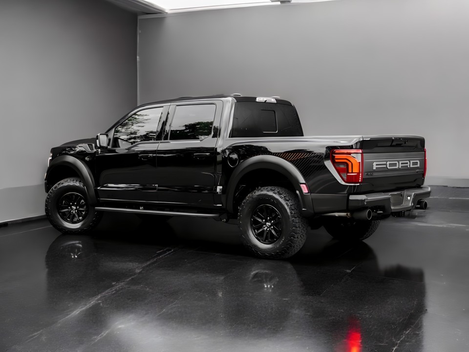 Ford F150 Raptor (5)