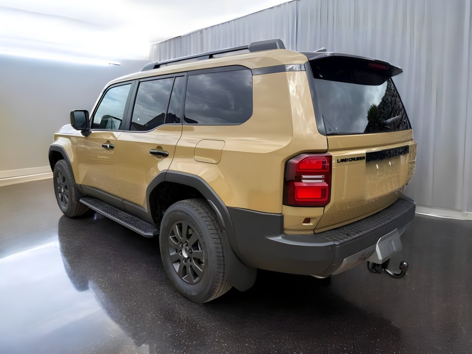 Toyota Land Cruiser (3)