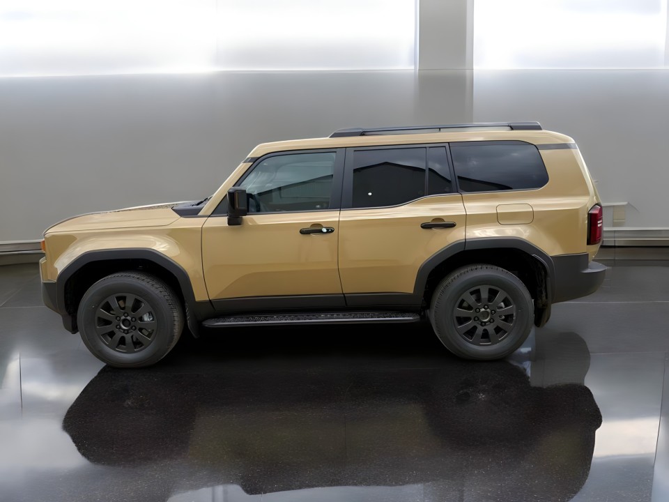 Toyota Land Cruiser (2)