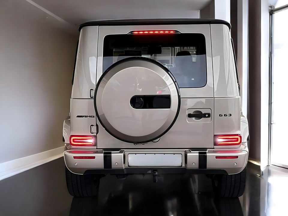 Mercedes-Benz G 63 AMG (4)