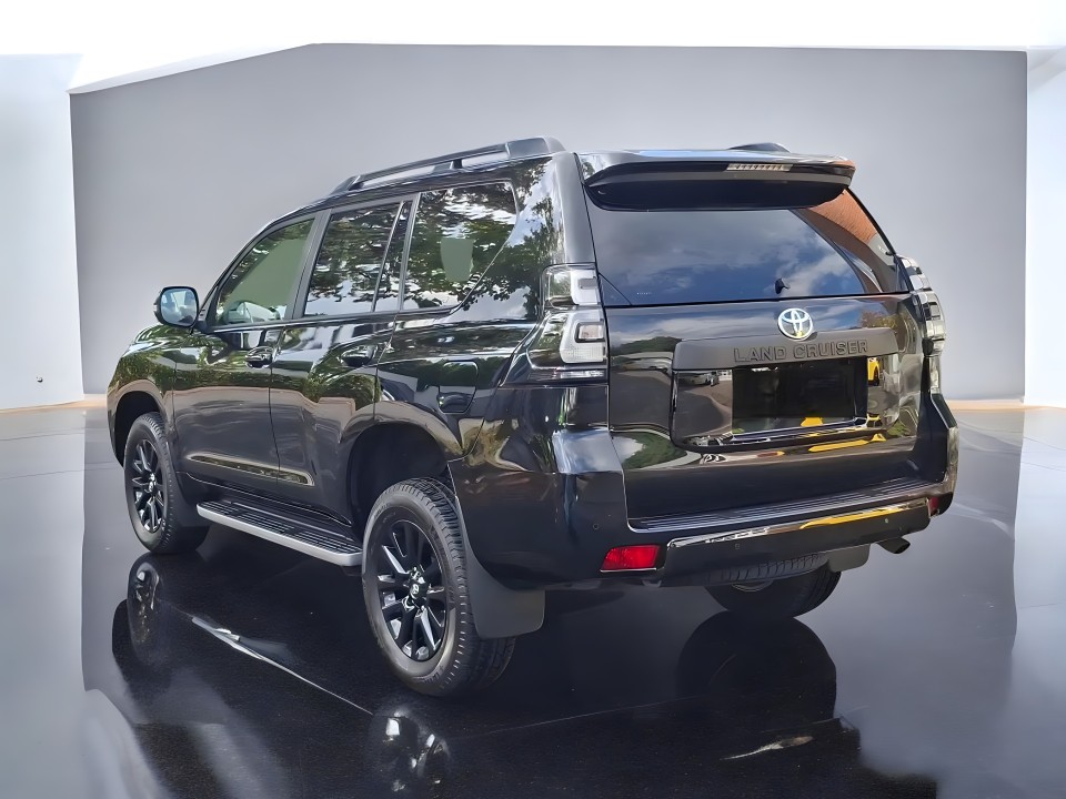 Toyota Land Cruiser Executive (5)