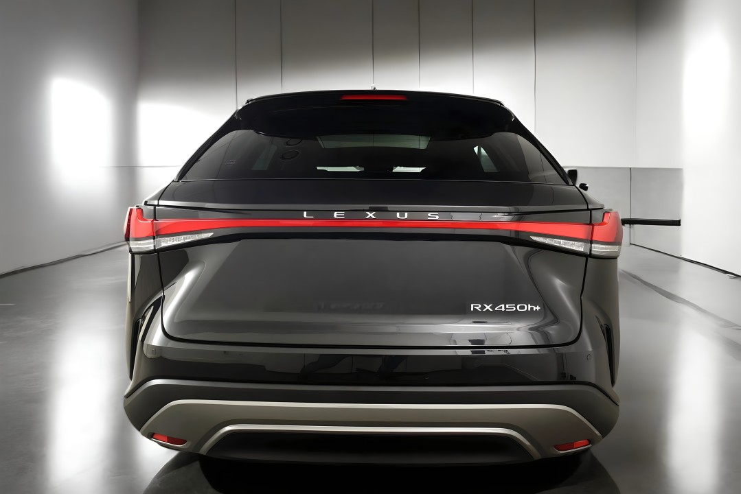 Lexus Seria RX 450h+ Executive (5)