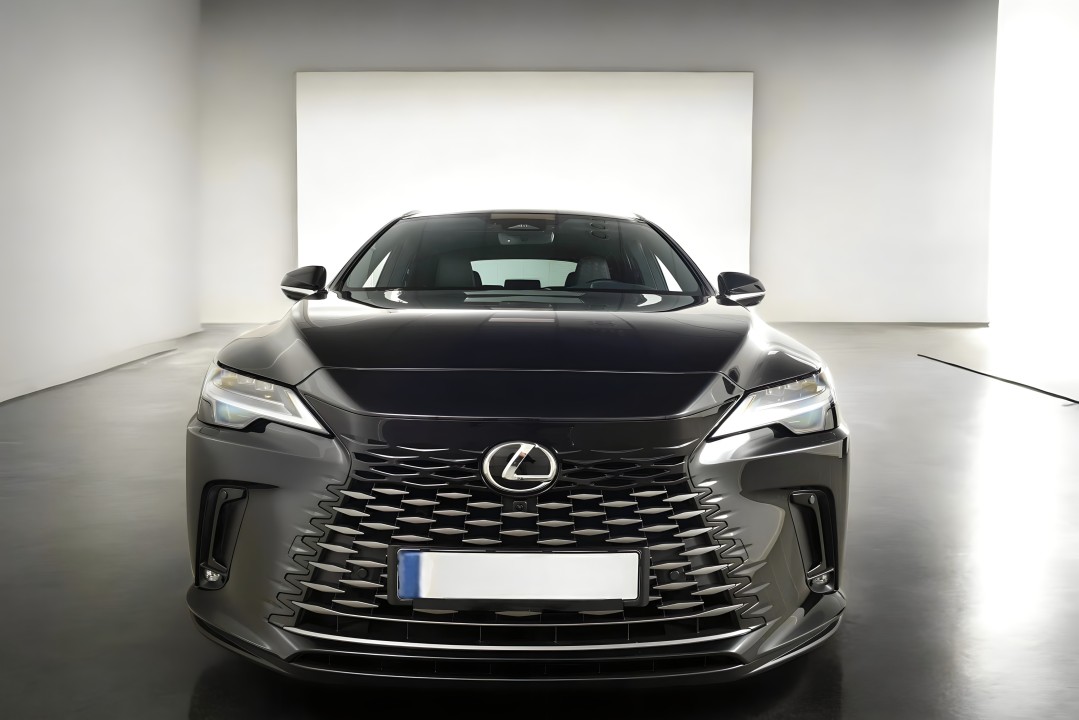 Lexus Seria RX 450h+ Executive (2)