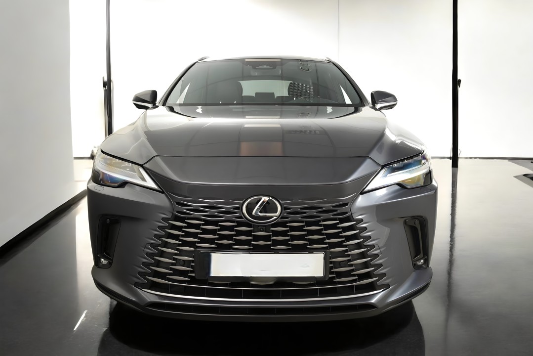 Lexus Seria RX 450h+ Executive Line (2)