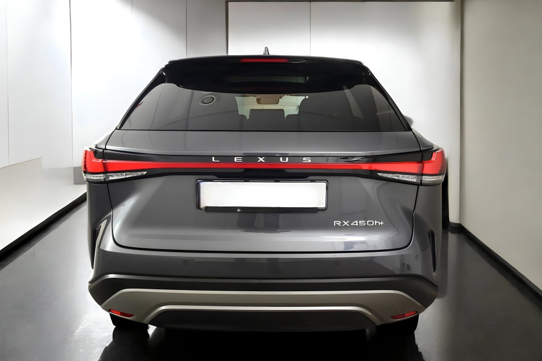 Lexus Seria RX 450h+ Executive Line (5)