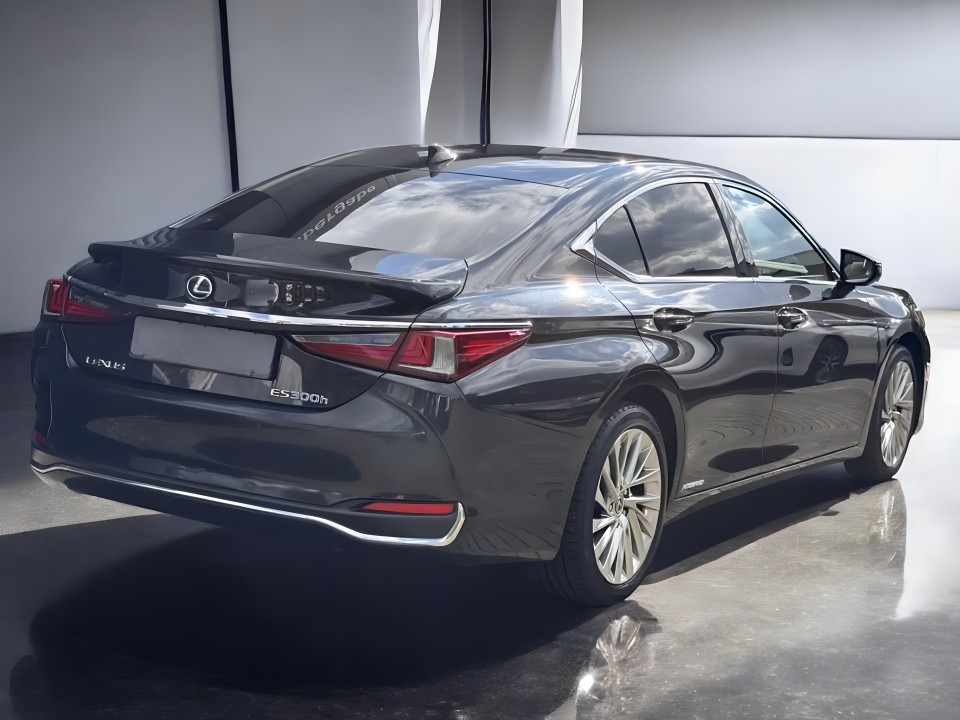 Lexus Seria ES 300h Luxury Line (3)