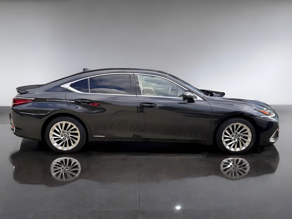 Lexus Seria ES 300h Luxury Line (2)