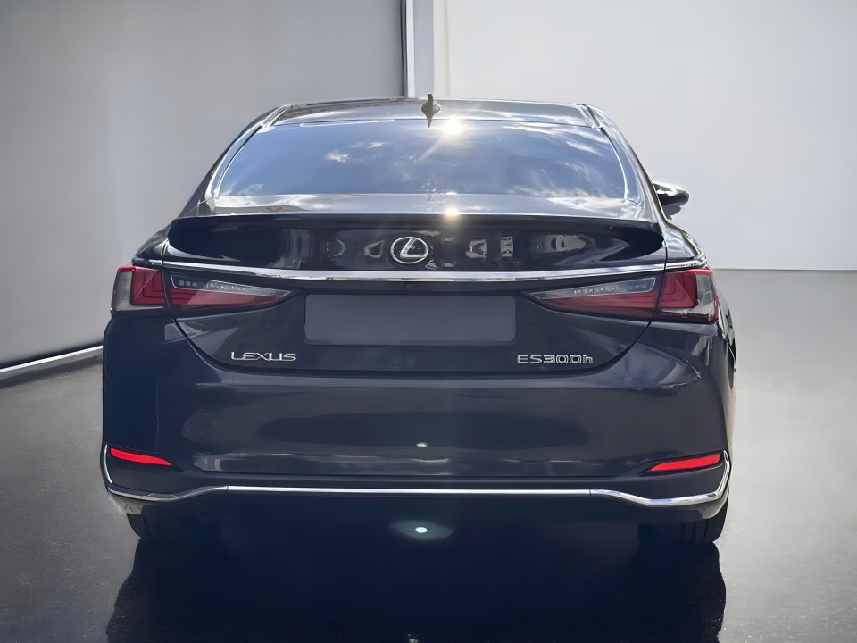 Lexus Seria ES 300h Luxury Line (4)