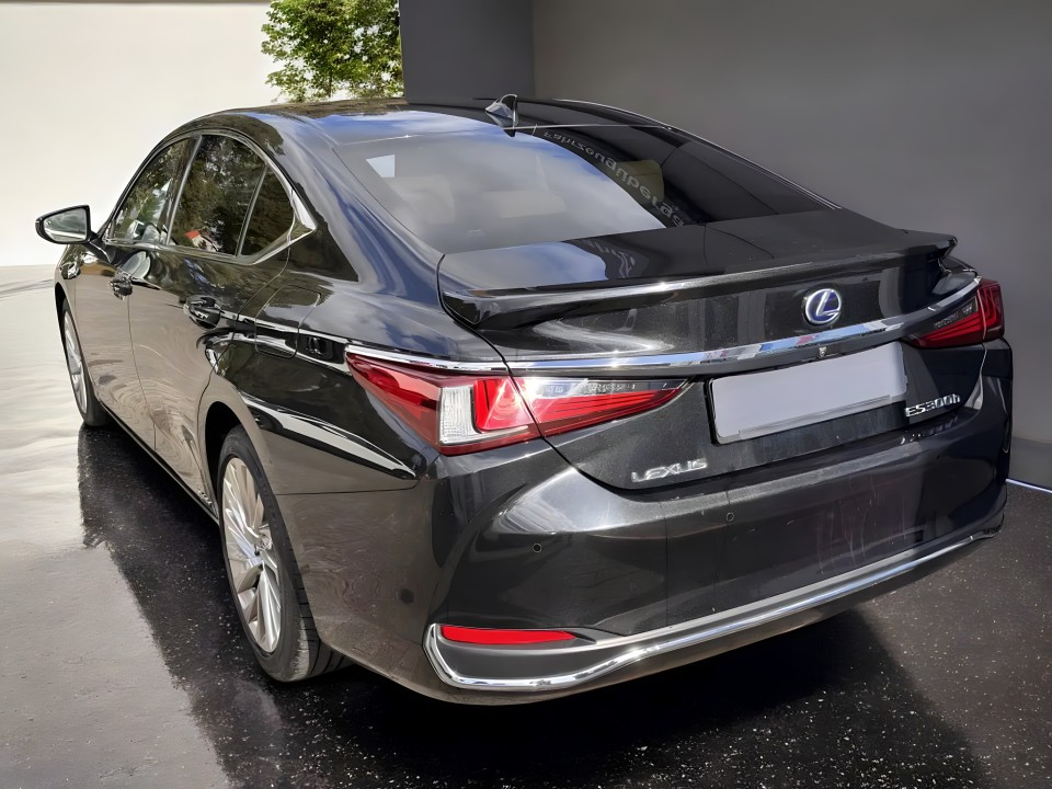 Lexus Seria ES 300h Luxury Line (5)