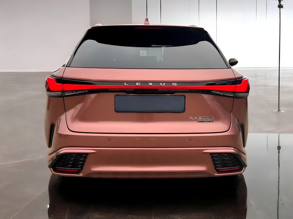 Lexus Seria RX Lexus RX 500h F-Sport (5)