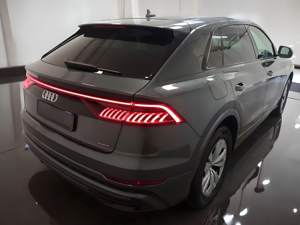 Audi Q8 50TDI quattro tiptronic (4)