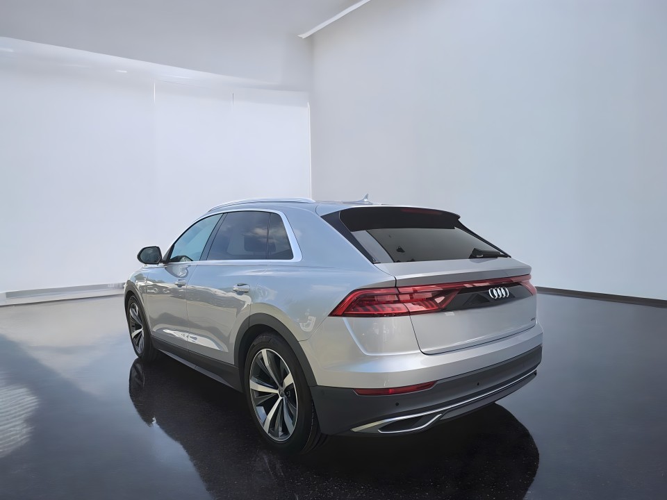 Audi Q8 50TDI quattro tiptronic (5)