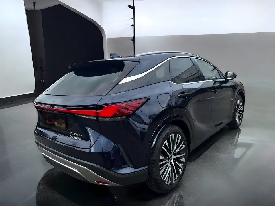 Lexus Seria RX 450h+ AWD Executive Line (4)