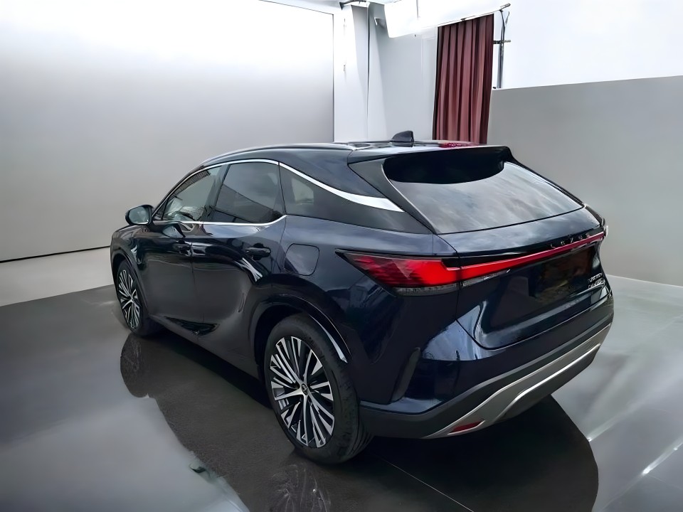 Lexus Seria RX 450h+ AWD Executive Line (5)