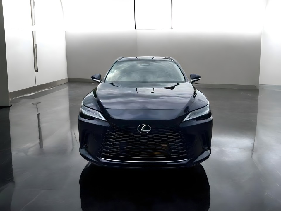 Lexus Seria RX 450h+ AWD Executive Line (2)