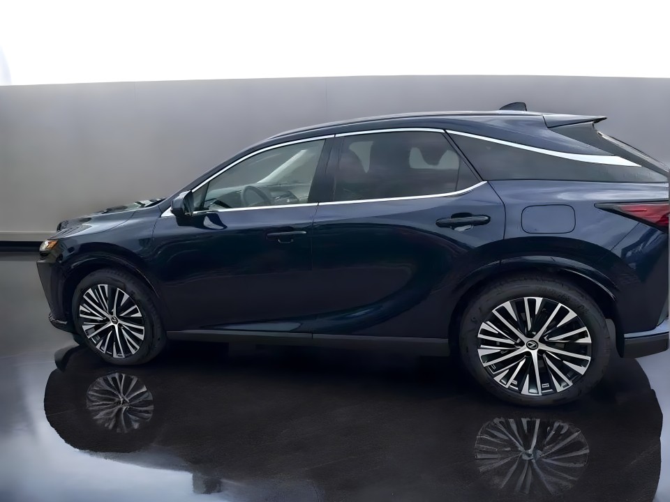 Lexus Seria RX 450h+ AWD Executive Line (3)