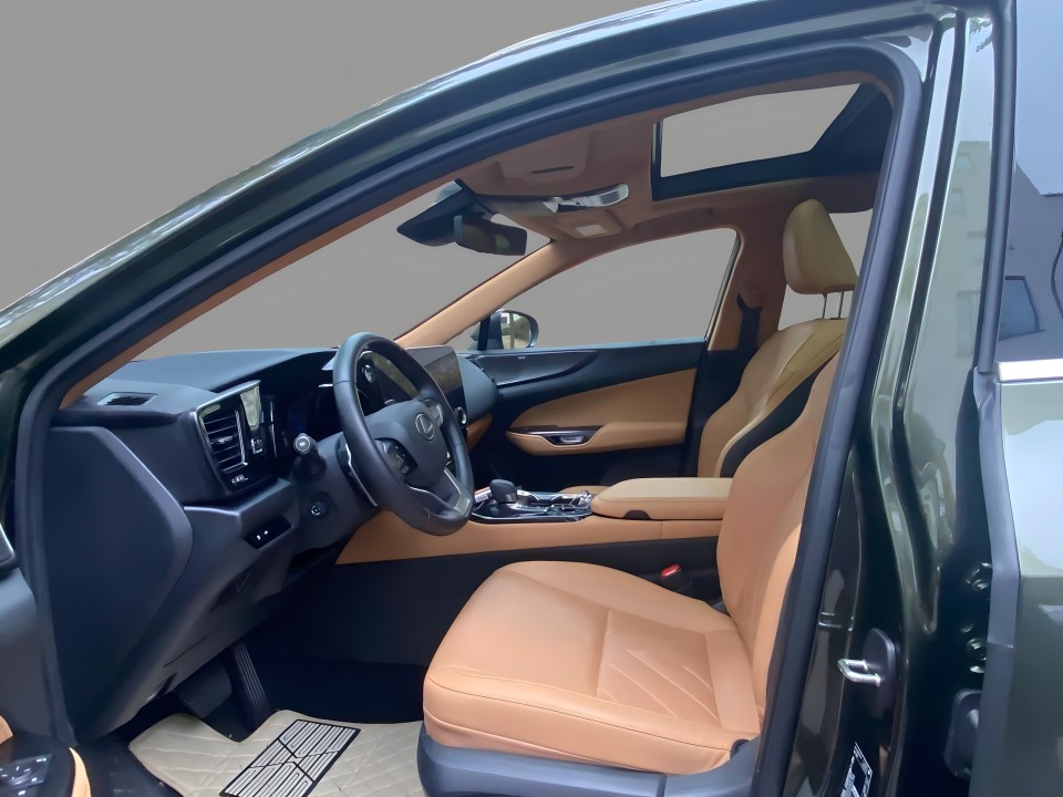 Lexus NX 350h Luxury Line (5)