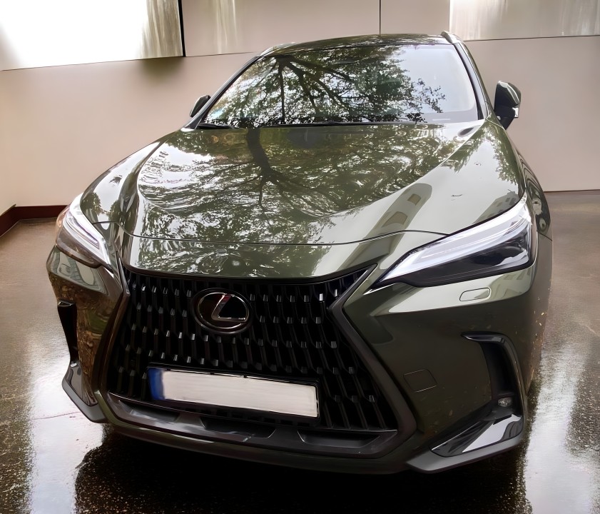 Lexus NX 350h Luxury Line (2)