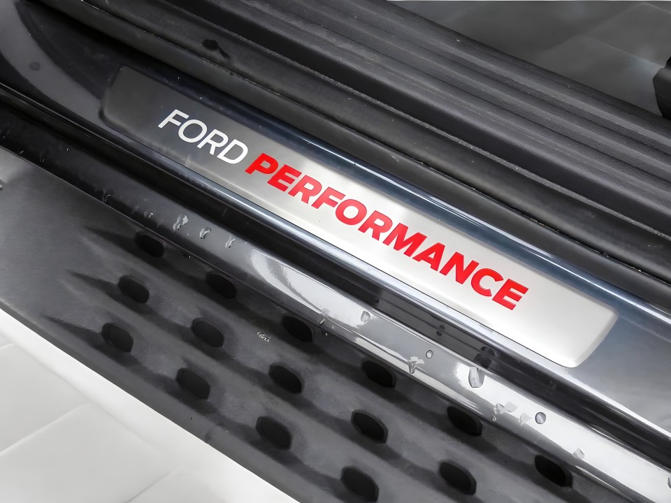 Ford Raptor 3.0 Ecoboost - foto 16