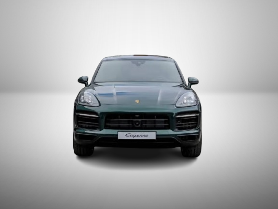 Porsche Cayenne E-Hybrid Platinum Edition (2)