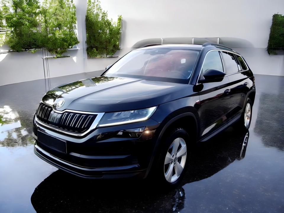 Skoda Kodiaq (1)