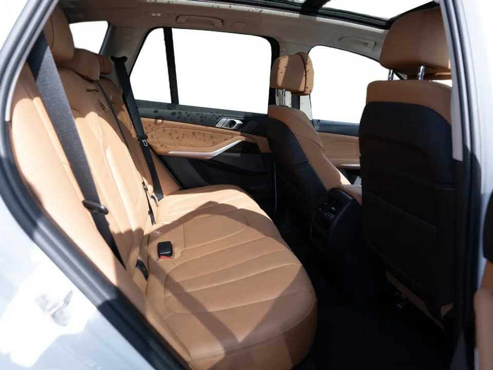 BMW X5 xDrive45e xLine (5)