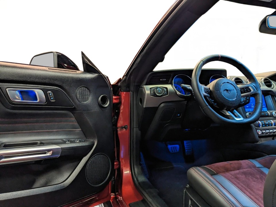 Ford Mustang GT 500 Shelby - foto 15