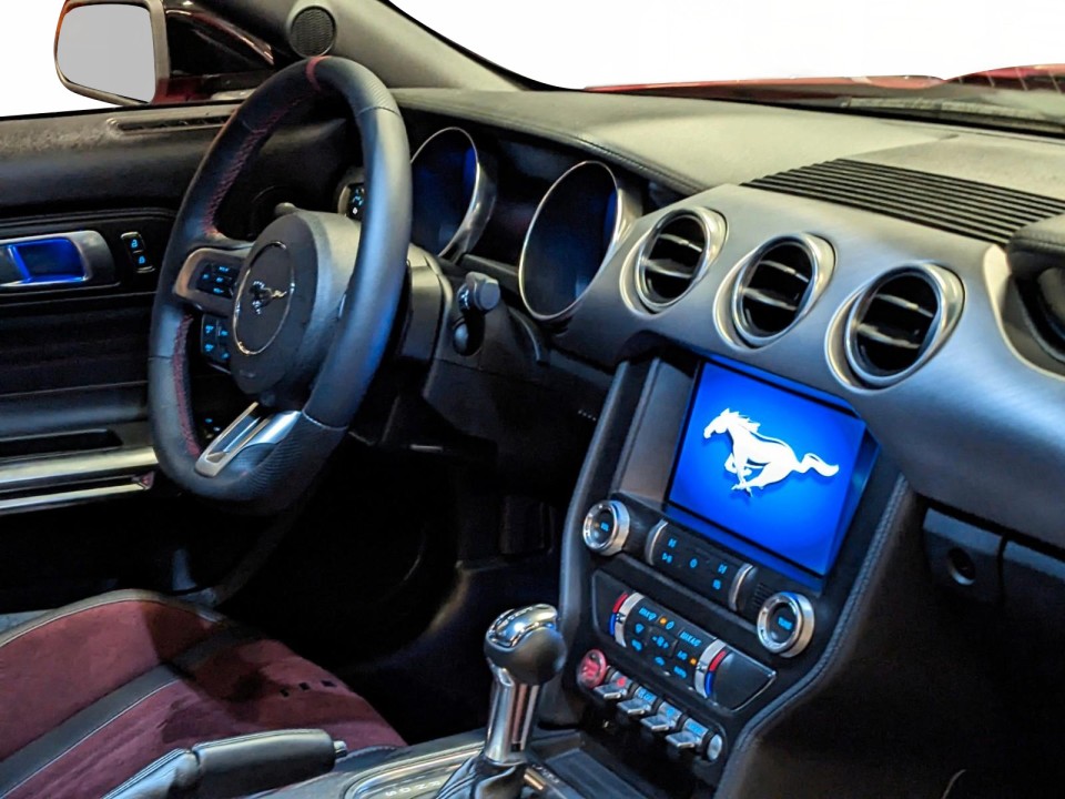 Ford Mustang GT 500 Shelby - foto 14