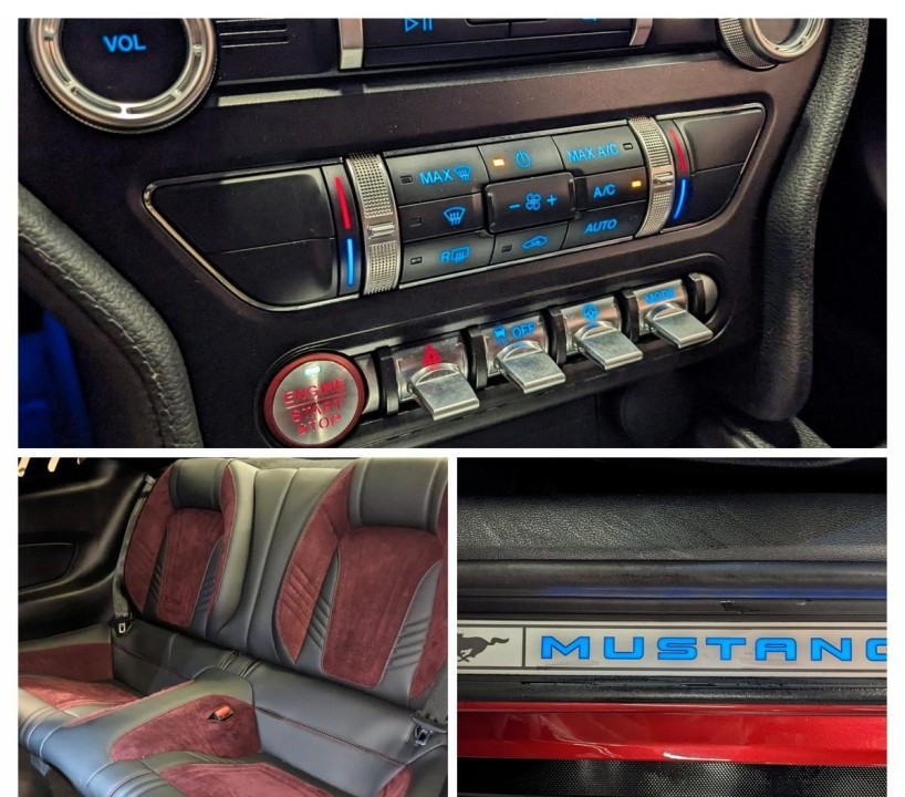 Ford Mustang GT 500 Shelby - foto 19